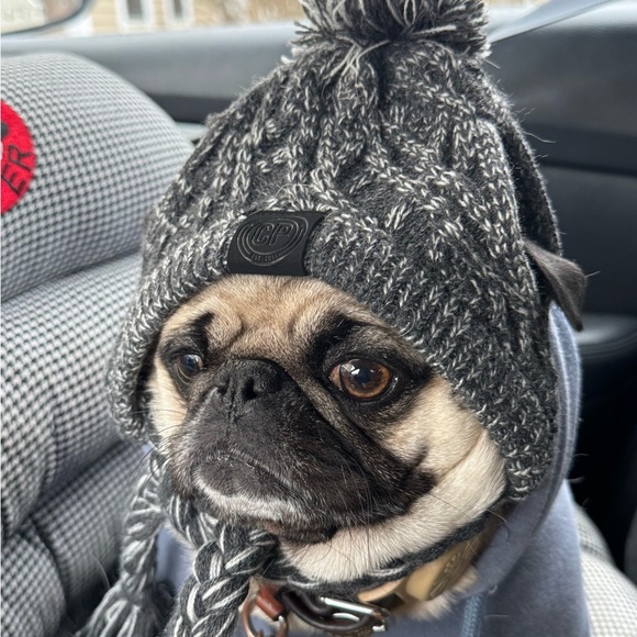 Meet your Posher, Lorraine - Picture 4 of 10